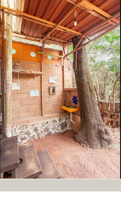 Casa Ecologica Apartment Tepoztlán Exterior foto